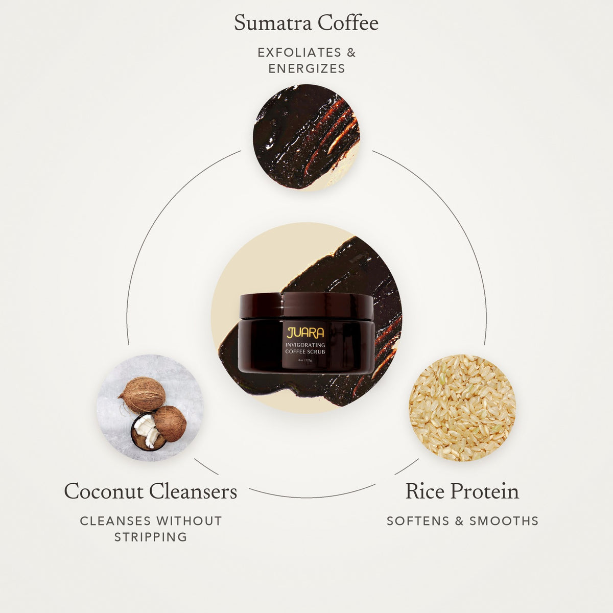 Invigorating Coffee Body Scrub key ingredients - Awear