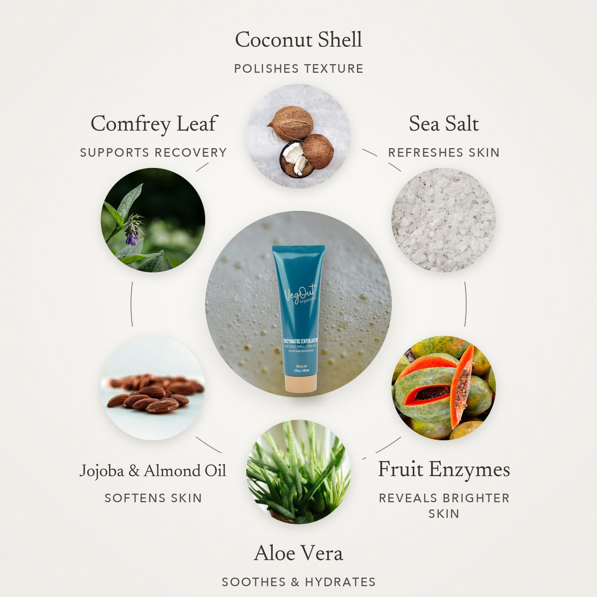 Enzymatic Exfoliator key ingredients - Awear
