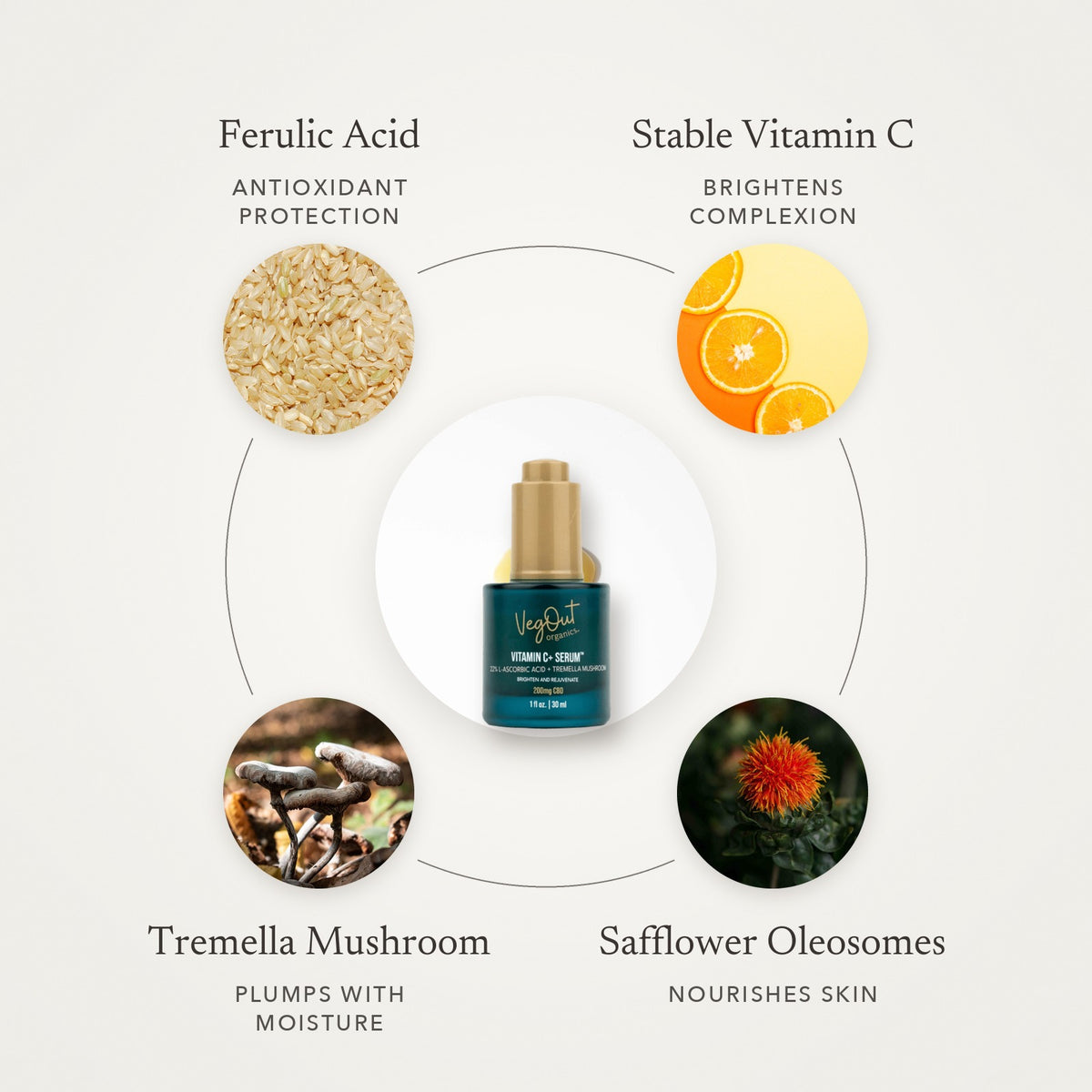 Vitamin C + Serum key ingredients - Awear